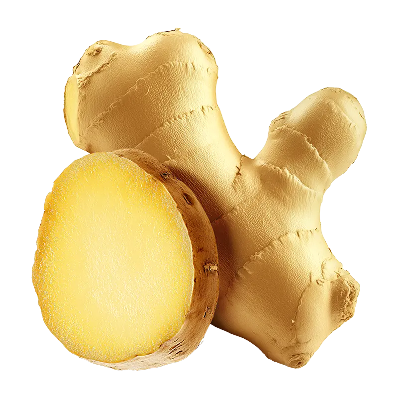 Whole fresh ginger root, cut to show the flesh